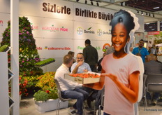 Tomatoes offered to you by Titiz.